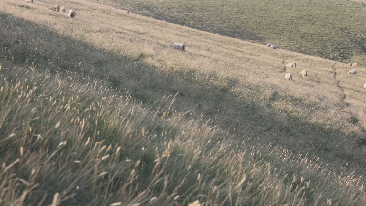 video-preview